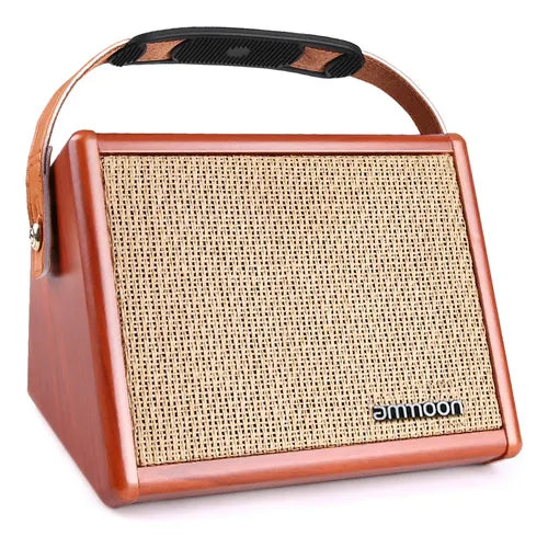 Ammoon Gitaar Versterker