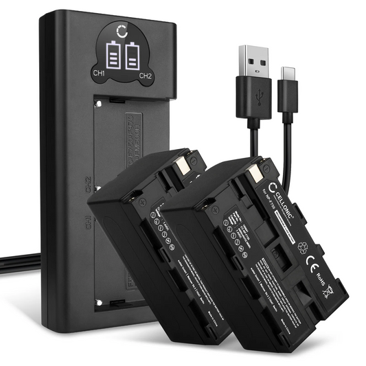 SONY RAVPower NP F550 camera-acculaderset voor Sony (2-pack vervangende batterijen, 2900mAh)